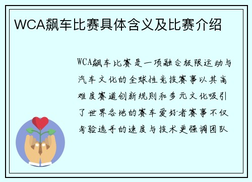 WCA飙车比赛具体含义及比赛介绍